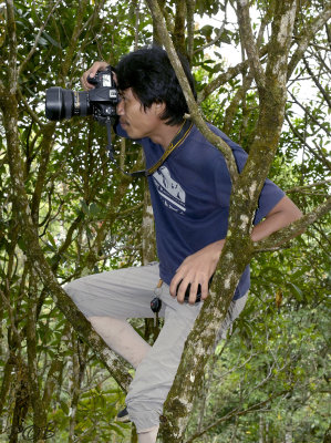 Photographer/author in tree