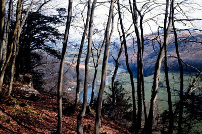 F11-14 1977 Wye Valley