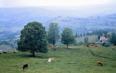 F36-35 1981 France