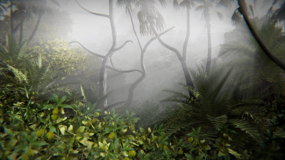 tropical fog scene