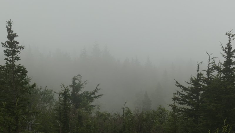 Looking toward Anchorage from the Chugach Mountains