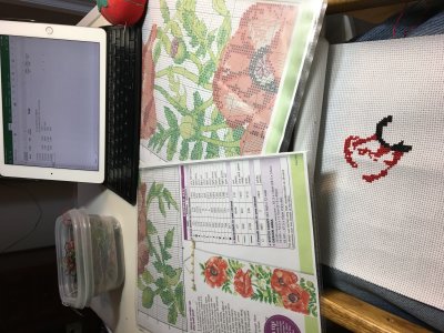 First stitching...