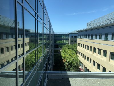 Fourth Floor View