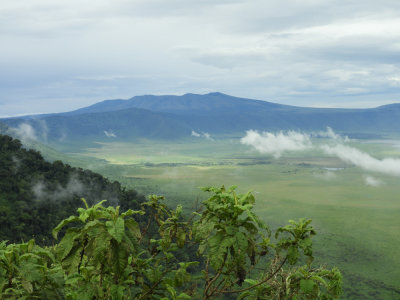 BarrettDSCN6177_Ngorongoro Crater.JPG