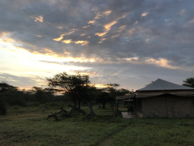 BarrettIMG_3677_Ndutu Bush Camp.JPG