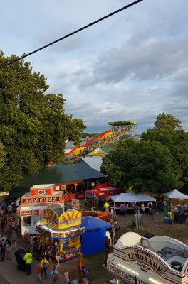 Giant slide through the trees