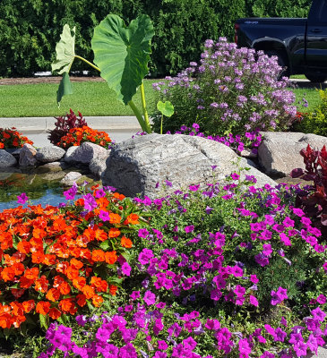 City Garden, at a car dealership!