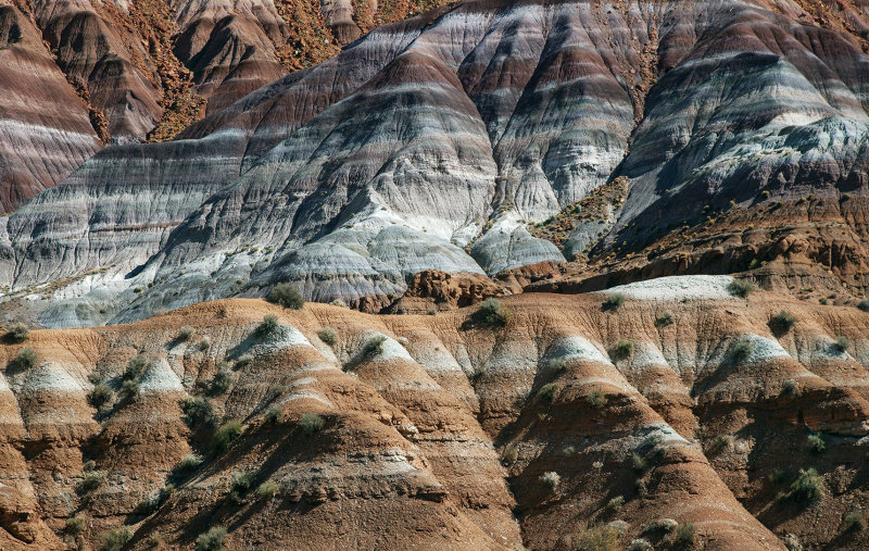 Geological Patterns: Escalante National Monument, Utah
