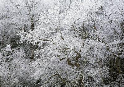 Freezing Fog, Mountain Lake Hotel And Resort, Giles County, Virginia