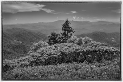 The Sentinel -Roan Highlands With Mid-Day Light.  