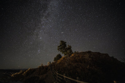 The Milky Way: Ridgeway Near The Dallas Divide, Colorado