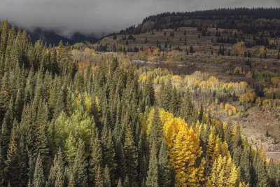 Storm Clouds and Fall Colors ON The San Juan Scenic Byway, Colorado