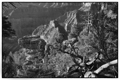 A View From Imperial Point, Grand Canyon, Arizona