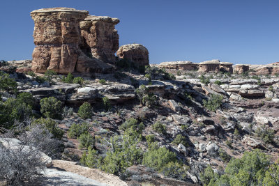 Mushroom Rock Formations, The Needles Section Of Canyonlands At Mid-Morning