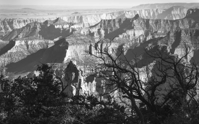 Late Afternoon At The North Rim-Grand Canyon, Arizona