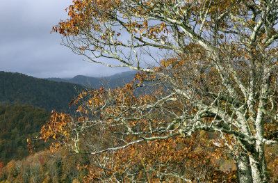 The Light Before The Storm-Blue Ridge Parkway, North Carolina