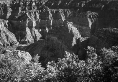 Late Afternoon Light-North Rim Of The Grand Canyon, Arizona