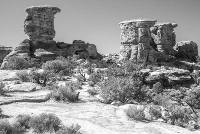 Mushroom Rock Formations, The Needles In Canyonlands