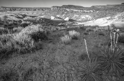 Early Light At Grand Staircase-Escalante National Monument, Utah