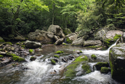 Little Stoney Creek-Jefferson National Forest-Giles County, Virginia