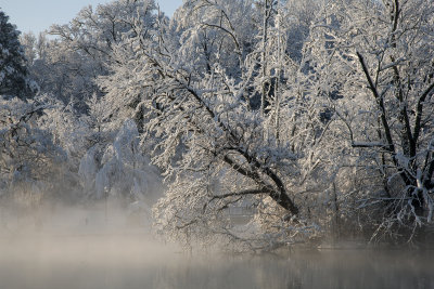Morning After A Snowstorm-Virginia Tech Duck Pond