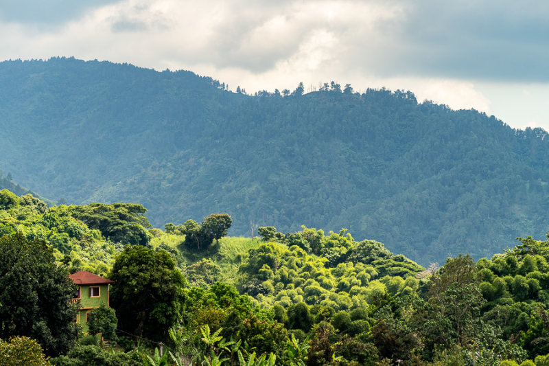 Blue Mountains - Above Irish Town