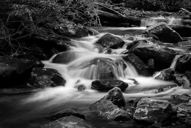_DSC7881.jpg