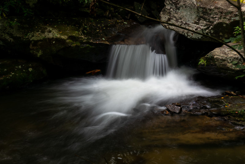 _DSC7885.jpg