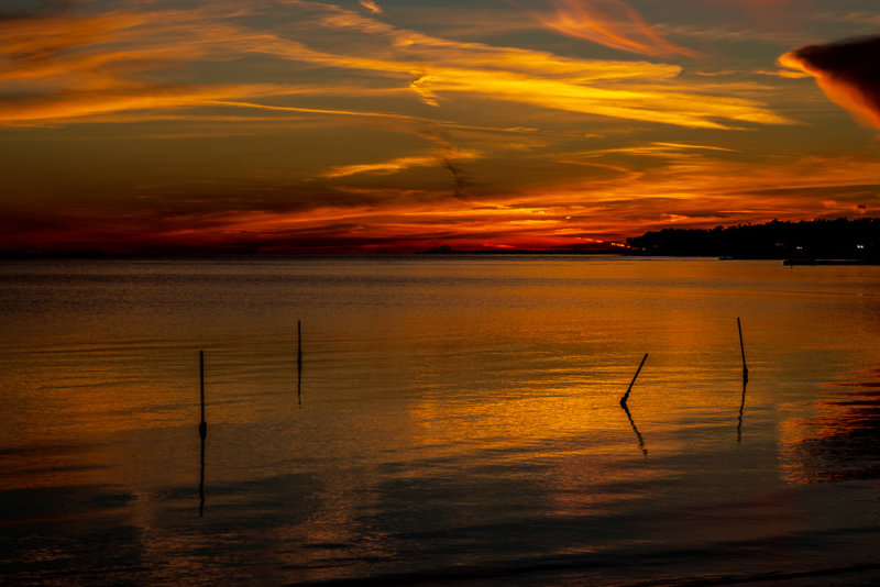 _DSC3075.jpg