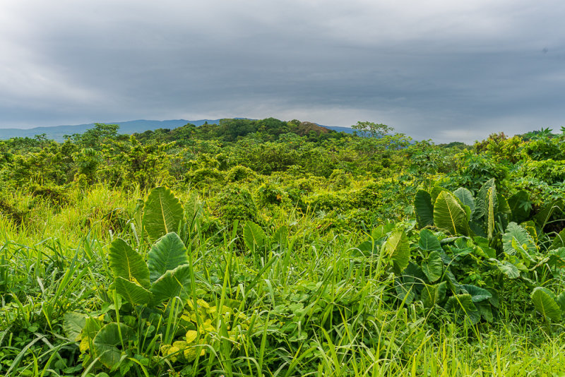 Hillside and Rain Clouds