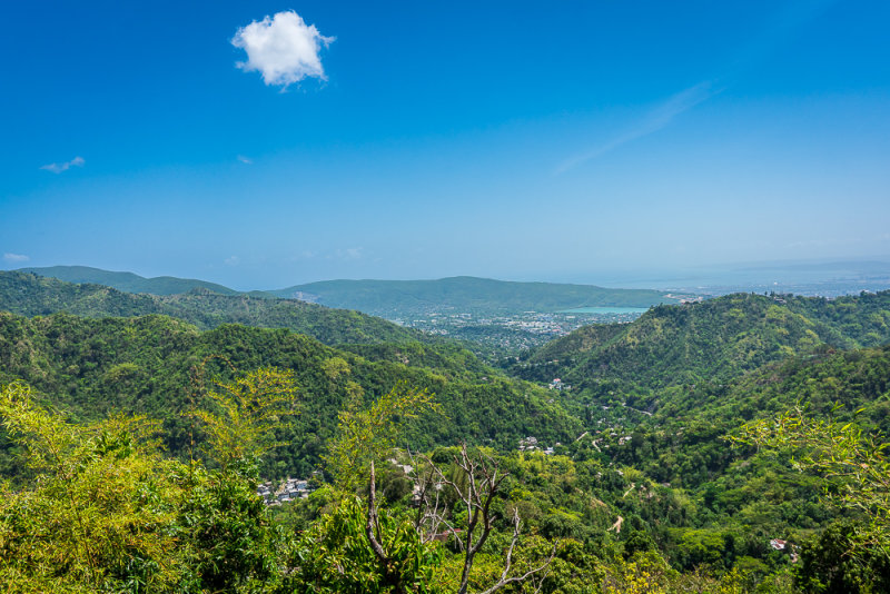 _DSC8870.jpg
