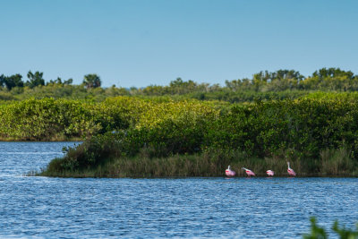 _DSC1366.jpg