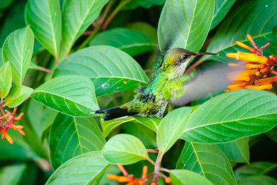 _DSC4786.jpg
