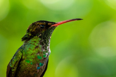 _DSC5094.jpg