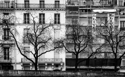 Trees
