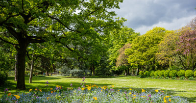 Jardin du Luxembourg IX