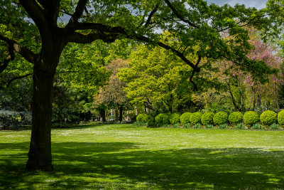 Jardin du Luxembourg X