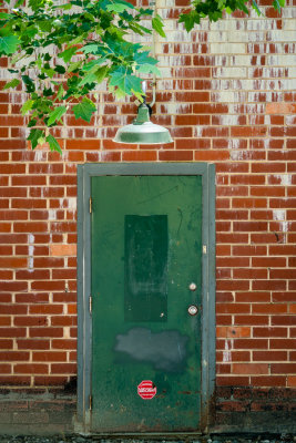 Green Door with Lamp