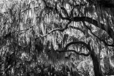 _DSC9151.jpg