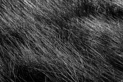 _DSC9676.jpg