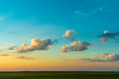 _DSC0283.jpg