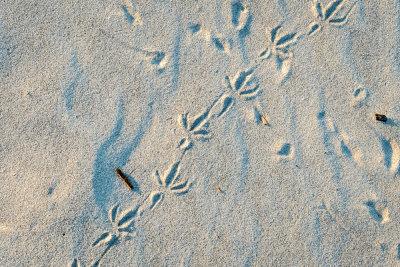 _DSC0326.jpg