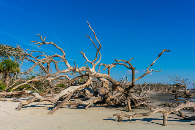 _DSC0370.jpg
