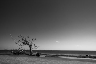 _DSC9275.jpg