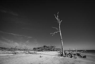 _DSC9295.jpg