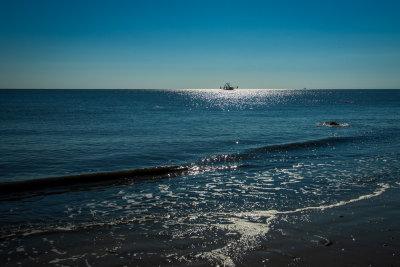 _DSC9302.jpg