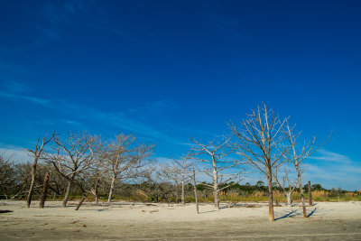 _DSC9306.jpg
