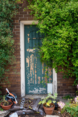 Green Door II