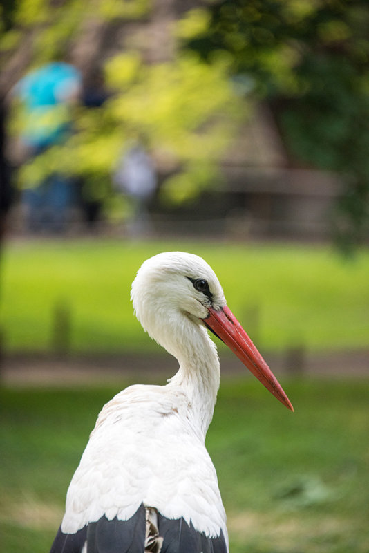 DSC_5428.jpg