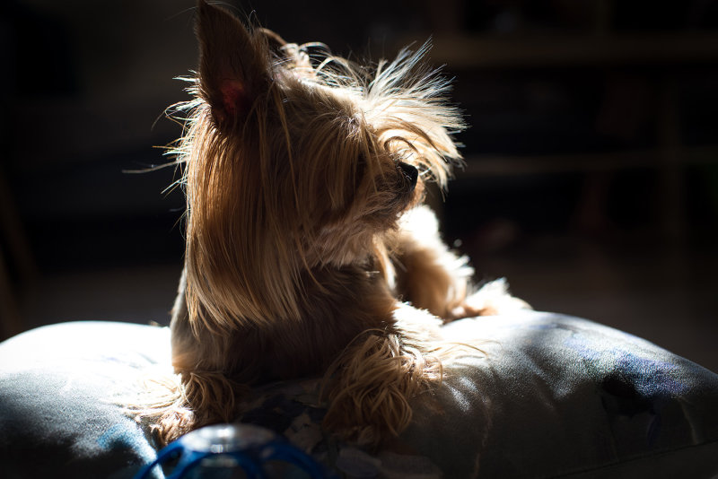 DSC_5491.jpg